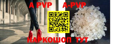 гашик Новозыбков