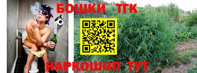 гашик Новозыбков