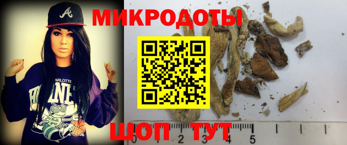 Псилоцибиновые грибы Cubensis Урюпинск