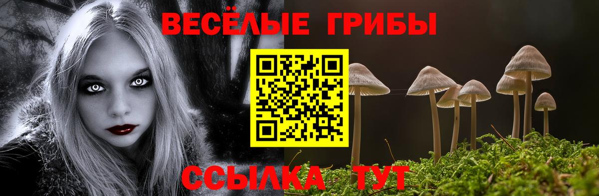 даркнет сайт  Галлюциногенные грибы Psilocybine cubensis  Вход с VPN  Галлюциногенные грибы ЛСД  Урюпинск 